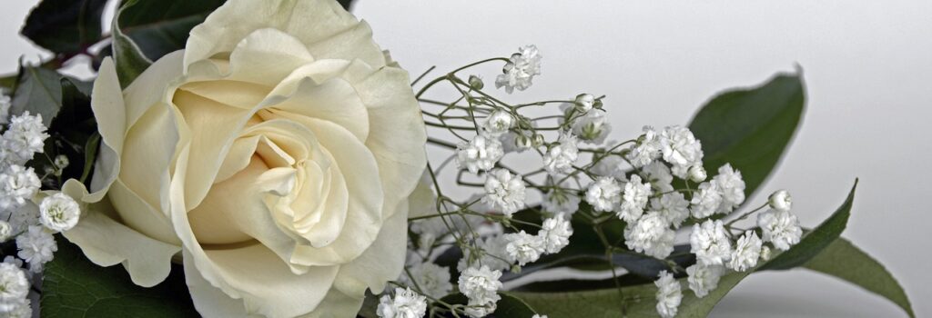 Wedding roses